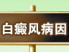 רָѹǰ֮һ.jpg