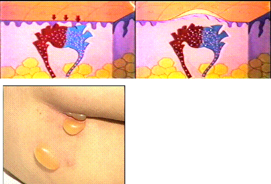 20090803091910131.gif