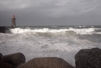 白癜风特点有什么呢?