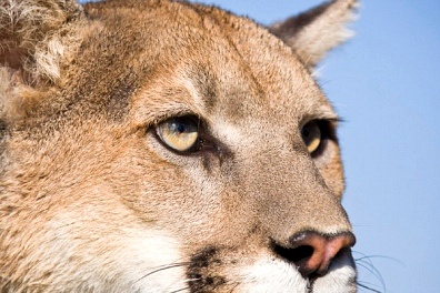 �����и���λ���