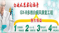 GX-Bά翵